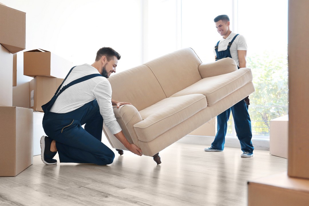 Vos déménageurs ont abimé vos meubles?, Actualités